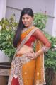 Telugu Actress Ziya Khan Hot Saree Photos