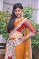 Telugu Actress Ziya Khan Hot Saree Photos