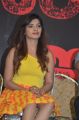Actress Sanchita Shetty @ Johnny Movie Press Meet Stills