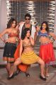 Sundeep Kishan, Priya Banerjee, Rashi Khanna, Sushma Raj in Joru Movie New Stills