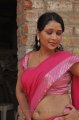 Tamil Actress Jothisha Hot Saree Stills