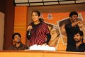 Telugu Movie Journey Success Meet Pictures