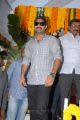 Actor Jr NTR Photos at Rabasa Movie Launch