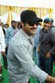 Jr NTR Latest Photos at Rabasa Movie Launch