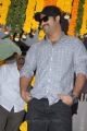 Jr NTR Latest Pictures at Rabasa Movie Launch