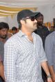 Actor Jr NTR Photos at Rabasa Movie Launch