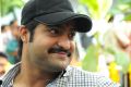 Jr NTR Smiling Photos at Rabasa Movie Launch