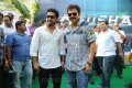 Jr NTR Badshah Movie Opening Stills