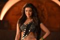 Janatha Garage Actress Kajal Agarwal Hot Pics