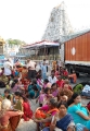 Jr NTR Lakshmi Pranathi visits Tirupati Temple Photos