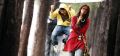 Allu Arjun & Ileana in Julai Movie Images