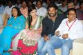 Julayi Audio Launch Stills