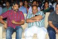 Julayi Audio Launch Stills