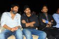 Julayi Audio Release Photos