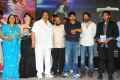 Julayi Audio Release Photos