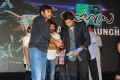 Julayi Audio Release Photos