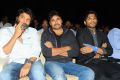 Allu Arjun, Pawan Kalyan at Julayi Audio Release Photos