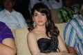 Tamanna at Julayi Audio Release Photos