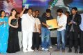 Julayi Audio Release Photos