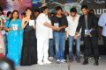 Julayi Audio Release Photos