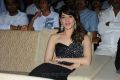 Tamanna at Julayi Audio Release Photos