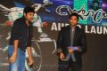 Julayi Audio Release Photos