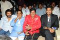 Julayi Audio Release Photos