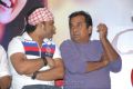 Brahmanandam, Devi Sri Prasad at Julayi Platinum Disc Function Stills