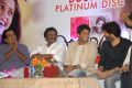 Julayi Movie Platinum Disc Function Stills