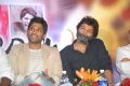 Allu Arjun, Trivikram Srinivas at Julayi Platinum Disc Function Stills