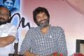 Director Trivikram Srinivas at Julayi Success Meet Stills