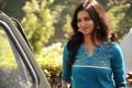 Actress Shine Shetty in KA Kannada Movie Stills