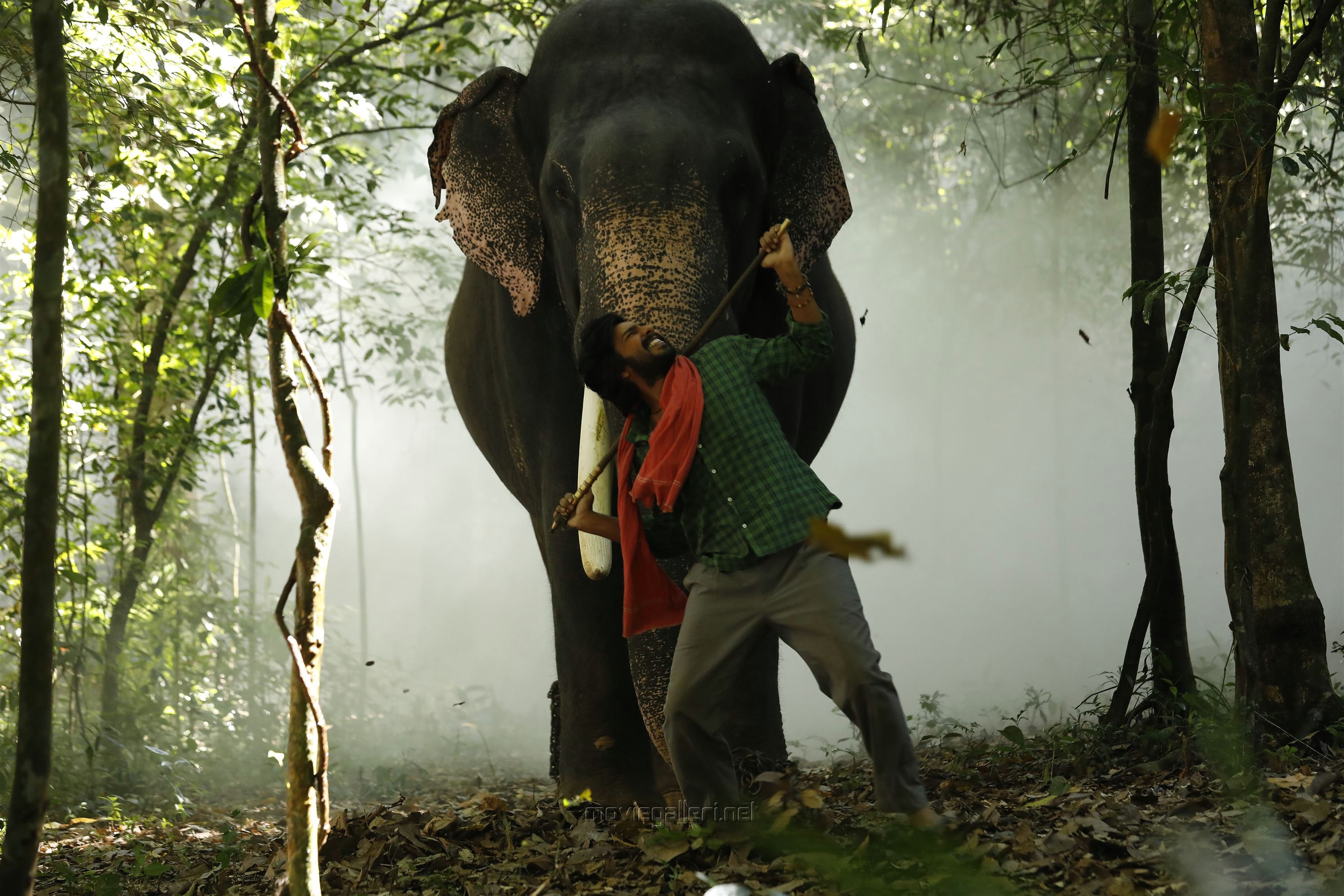 Films around the world. Haathi.