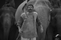 Actor Rana Daggubati Kaadan Movie Images HD