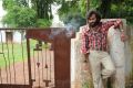 Actor Chaitanya Krishna in Kaali Charan Movie Stills