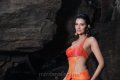 Sayali Bhagat Hot Pics in Kaattu Puli Movie