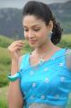 Actress Angana Rao in Kabadam Movie Photos