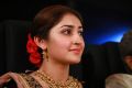 Sayesha Saigal @ Kadaikutty Singam Audio Launch Stills HD