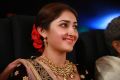 Sayesha Saigal @ Kadaikutty Singam Audio Launch Stills HD