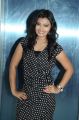 Actress Neha @ Kadhal 2014 Movie Audio Launch Stills