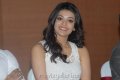 Cute Kajal Agarwal Pictures