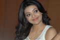 Cute Kajal Agarwal Latest Pics