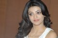 Cute Kajal Agarwal Latest Pics