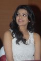 Cute Kajal Agarwal Latest Pics