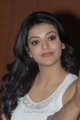 Cute Kajal Agarwal Latest Pics