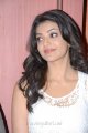 Cute Kajal Agarwal Latest Pics