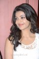 Cute Kajal Agarwal Latest Pics