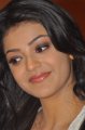 Cute Kajal Agarwal Latest Pics