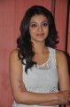 Cute Kajal Agarwal Latest Pics