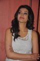 Cute Kajal Agarwal Latest Pics